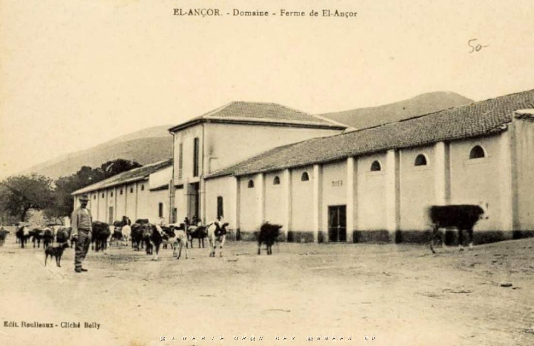 CO j- 15- Madrague- El ancor- Andalouses.jpg